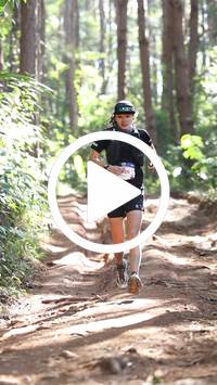 BIB:  <button type="button" onclick="openModal(26569473)" class="btn btn-primary btn-sm float-right" data-toggle="modal" data-target=".modal-high-quality">
                <i class="fa fa-download"></i> Download
                </button>